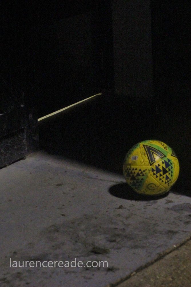 Photo by Robyn Reade